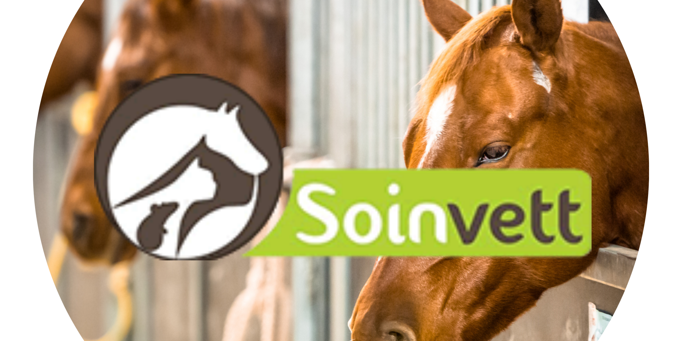 Soinvett thuin gestion marketing community manager