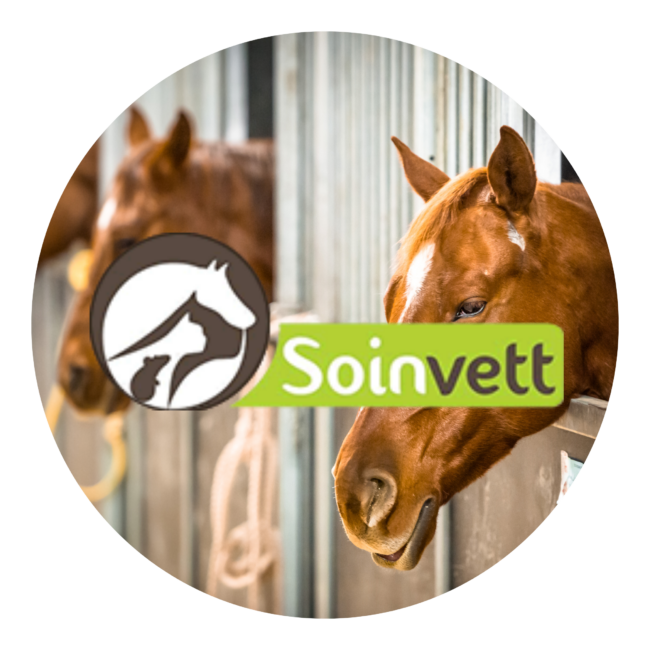 Soinvett thuin gestion marketing community manager