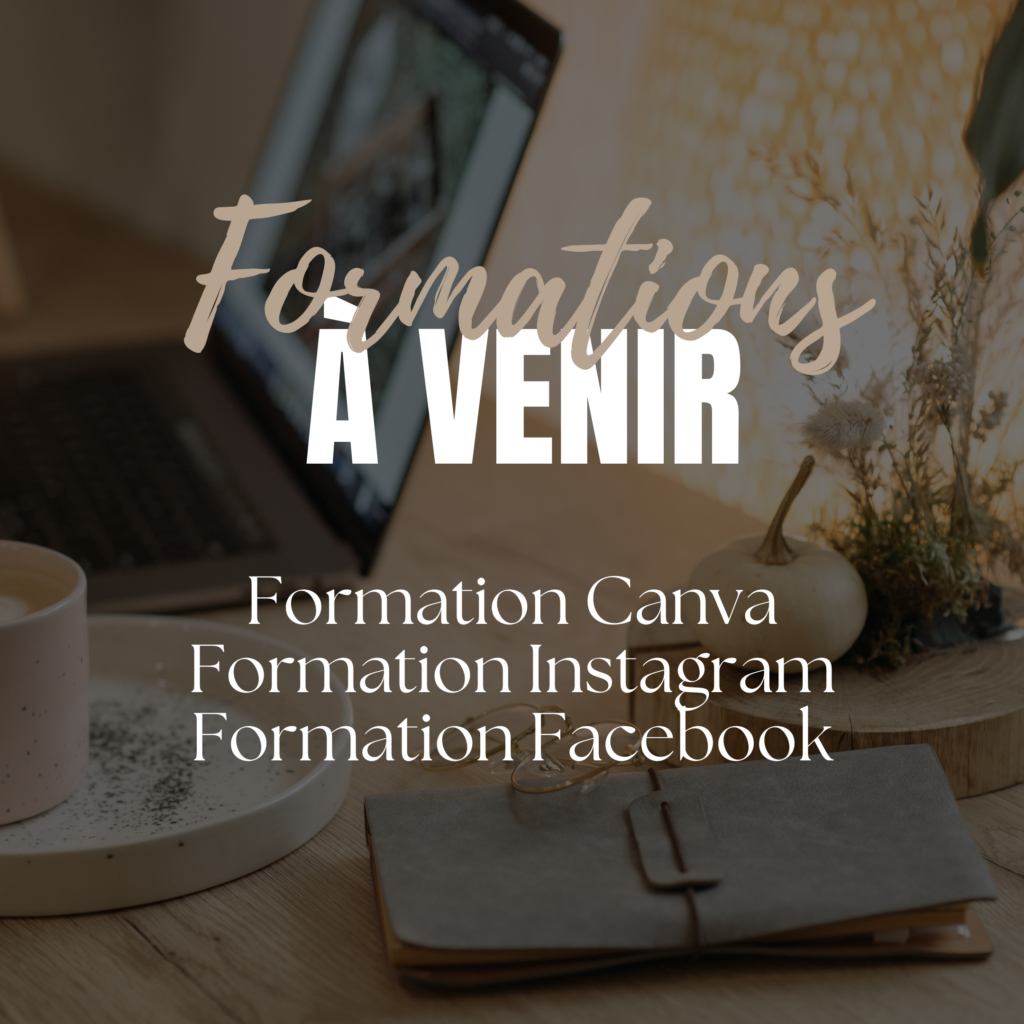 formation canva belgique formation instagram facebook wallonie